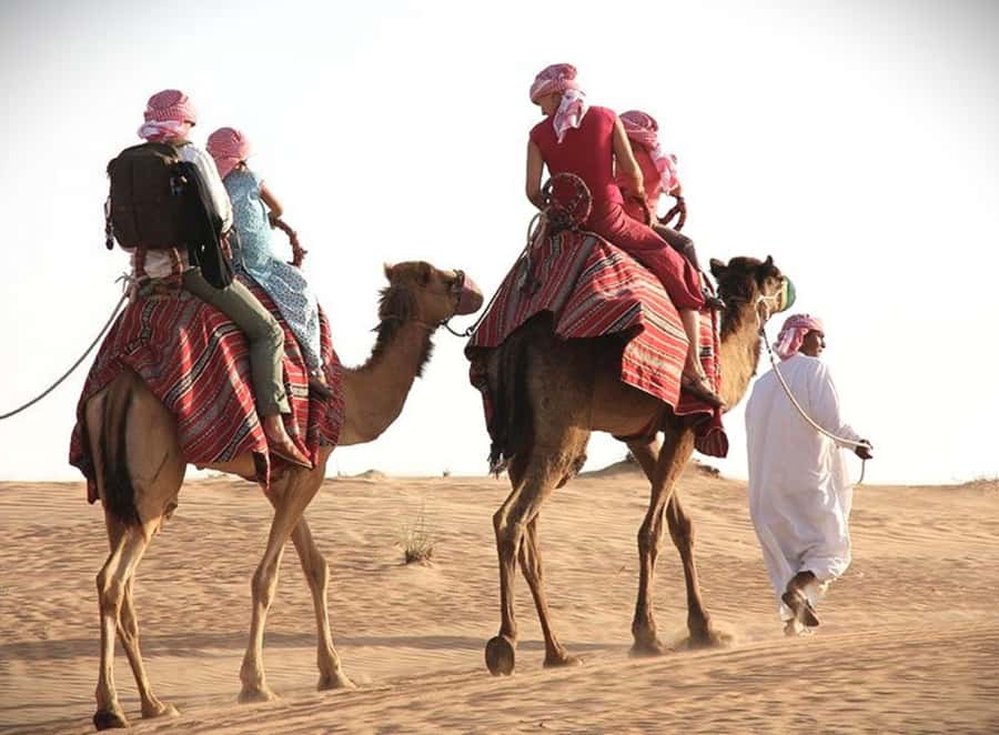 Doha: Desert Safari Dune Bashing, Sandboarding, & Camel Ride - Key points to know before booking