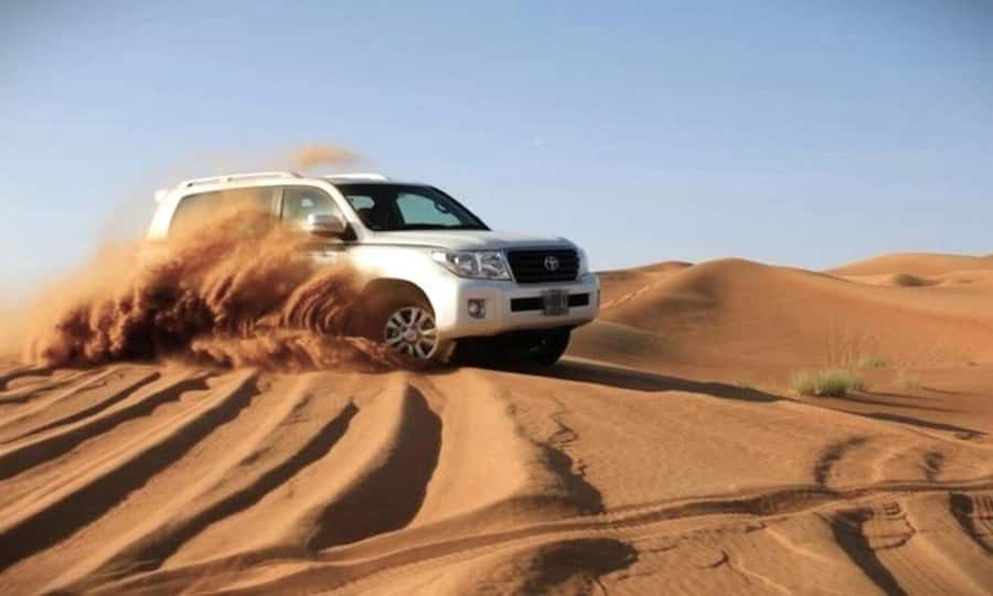 Doha: Desert Safari Dune Bashing, Sandboarding, & Camel Ride - A short camel ride and a cup of karak tea
