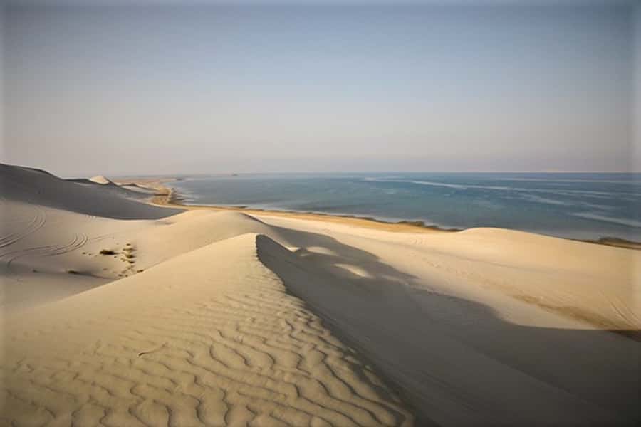 Doha: Desert Safari Dune Bashing, Sandboarding, & Camel Ride - What the $30 price really includes