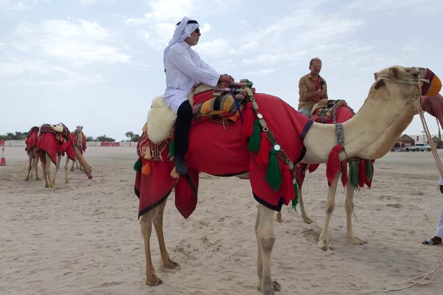 Doha: Desert Safari Dune Bashing, Sandboarding, & Camel Ride - Should you book the Doha desert safari?