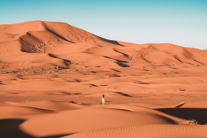 Doha Desert Safari Dune bashing,Sandboarding,CamelRide,Inland Sea - Camels, falcons, and the extra-cost question