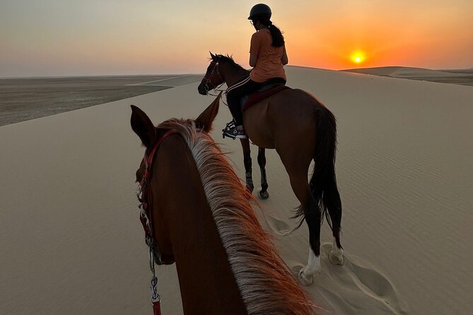 Doha Desert Safari Horse Riding, Camel Ride, ATVs & Inland Sea - Key points at a glance