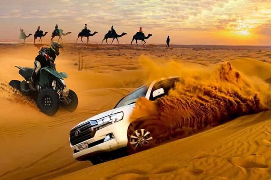 Doha: Desert Safari, Quad Biking, Sand Boarding & Camel Ride - A fast route from Doha to Qatar’s open desert