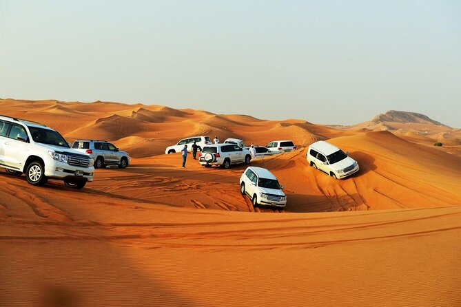 Doha: Desert Safari, Sand Boarding, Camel Ride & Inland Sea Tour - Who will enjoy this desert trip?