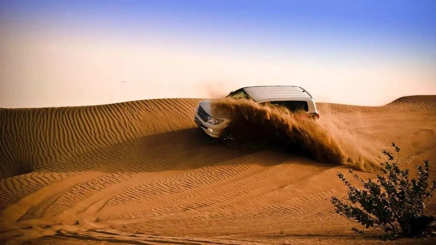 Doha: Desert Safari, Sandboarding, Camel Ride and Inland Sea - The camel stop: traditional, but keep expectations modest