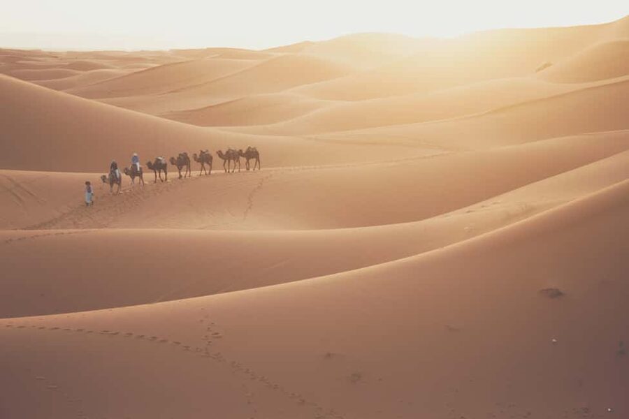 Doha: Desert Safari, Sandboarding, Camel Ride and Inland Sea - Sandboarding above the Inland Sea