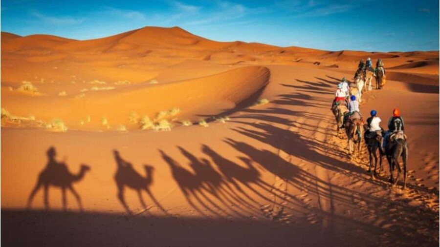 Doha: Desert Safari, Sandboarding, Camel Ride and Inland Sea - Who should book this desert safari