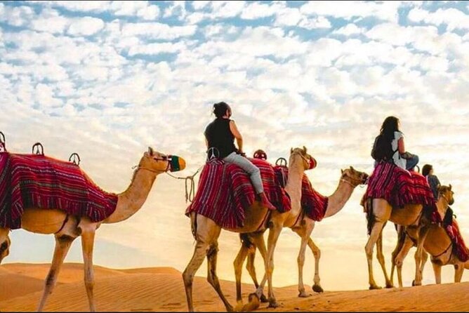 "Doha Desert : Safari, Sandboarding, Camel Ride & Inland Sea" - Why this four-hour desert trip works well from Doha
