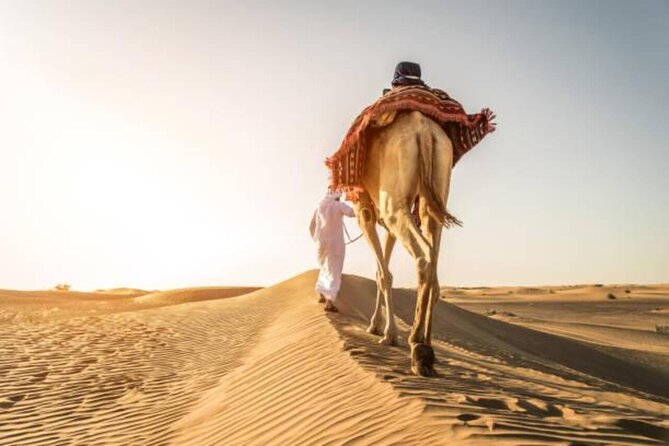 "Doha Desert : Safari, Sandboarding, Camel Ride & Inland Sea" - Dune bashing across Ash Shaqra’