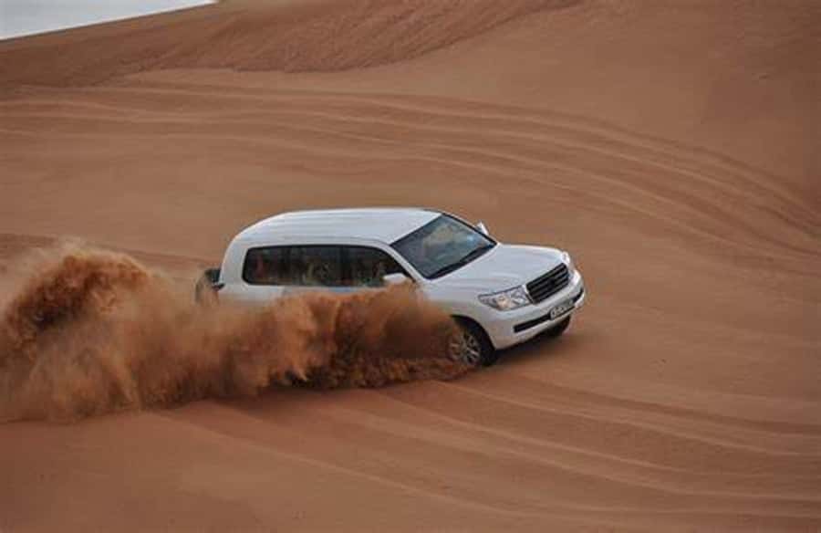 Doha Desert Safari: Sandboarding, Camel Ride & Swimming Fun - Should you book this Doha desert safari?