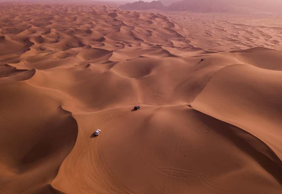 Doha: Desert Safari, Sandboarding, Dune Bashing & Inland Sea - Dune bashing in the Land Cruiser