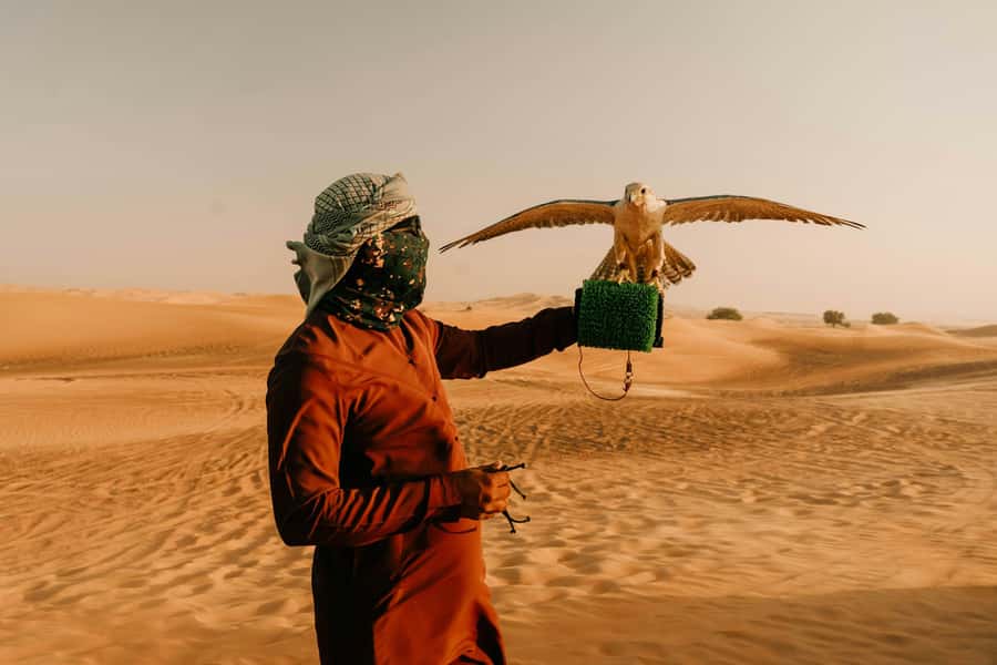 Doha: Desert Safari, Sandboarding, Dune Bashing & Inland Sea - What is included, and what will cost extra