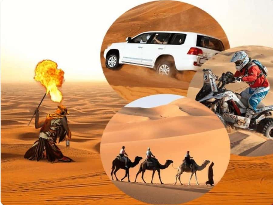 Doha:Desert Safari with Camel Ride, ATV Bike,& Sand Boarding - Why this Doha desert safari works
