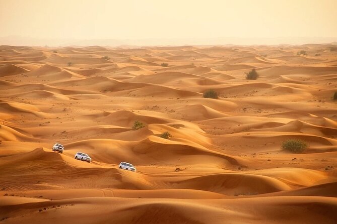 Doha: Desert Safari With Quad bike ,Camel Ride And Sand Boarding - Falcons, photographs, and possible extras