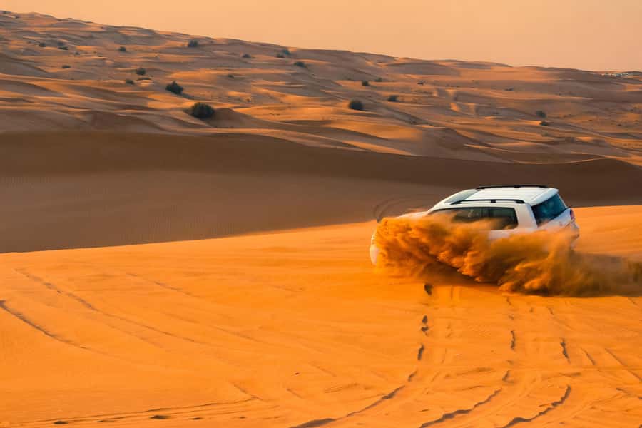 Doha: Desert Safari with Quad Bike, Sandboard & Camel Ride - Camels, falcons, and a short Bedouin stop