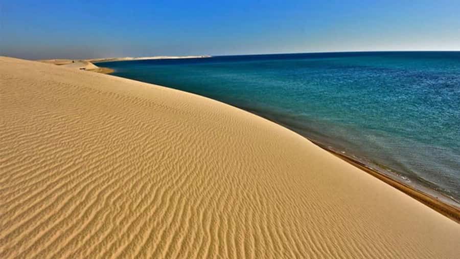 Doha: DesertSafari with Quad Bike, Camel Ride & Sandboarding - From Doha hotel pickup to open desert