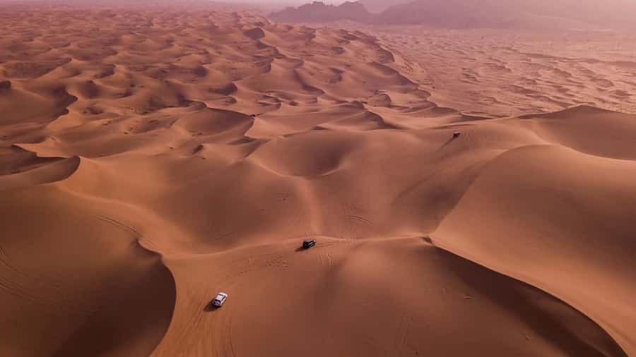 Doha: Dune Bashing Safari, Falcon, Camel, ATV, Sandboarding - Why this four-hour desert trip works well from Doha