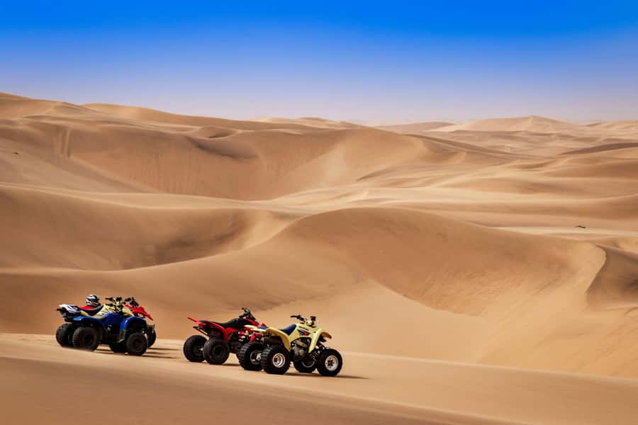 Doha: Dune Bashing Safari, Falcon, Camel, ATV, Sandboarding - Guides make a real difference