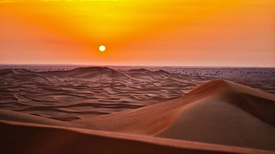Doha: Dune Bashing Safari, Falcon, Camel, ATV, Sandboarding - Sealine: the practical start of the adventure