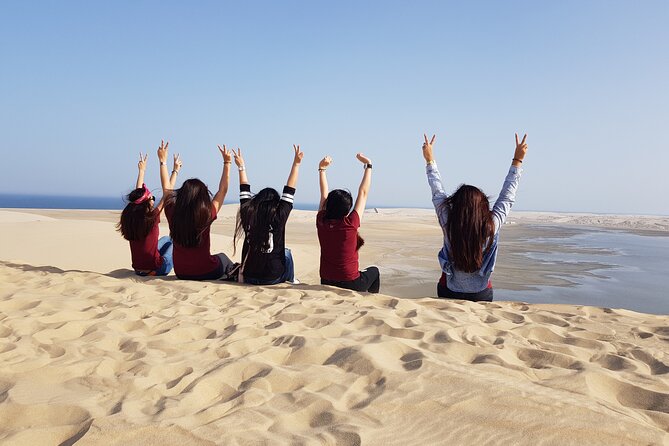 Doha : Full Day Desert Safari | BBQ Dinner | Inland sea - Tea, falcons, and a Bedouin camp