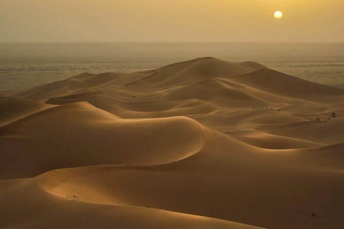 Doha Golden Dune Safari | Dune Bashing| Sandboarding| Inland sea - Camels, falcons, and local desert touches