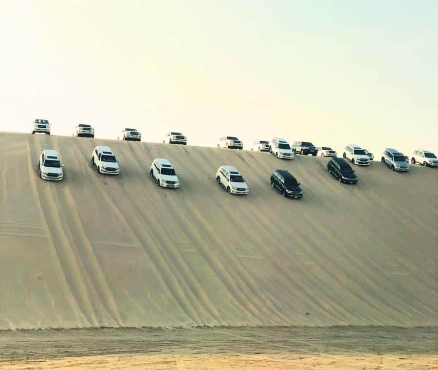 Doha: Guided Desert Safari Tour with Pickup & Drop Service - What is included, and what is not