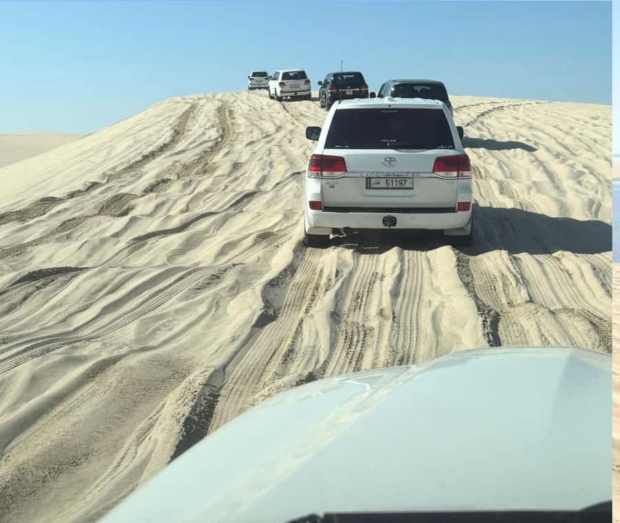 Doha: Guided Desert Safari Tour with Pickup & Drop Service - Practical advice for a smoother ride
