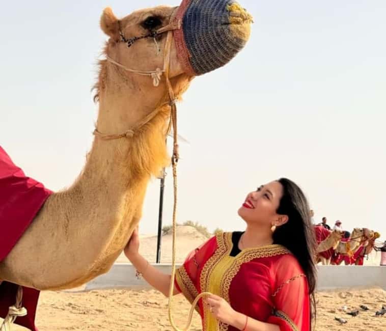 Doha: Half Day Desert Safari, Camel Ride , Sandboarding - The short camel ride and what to check