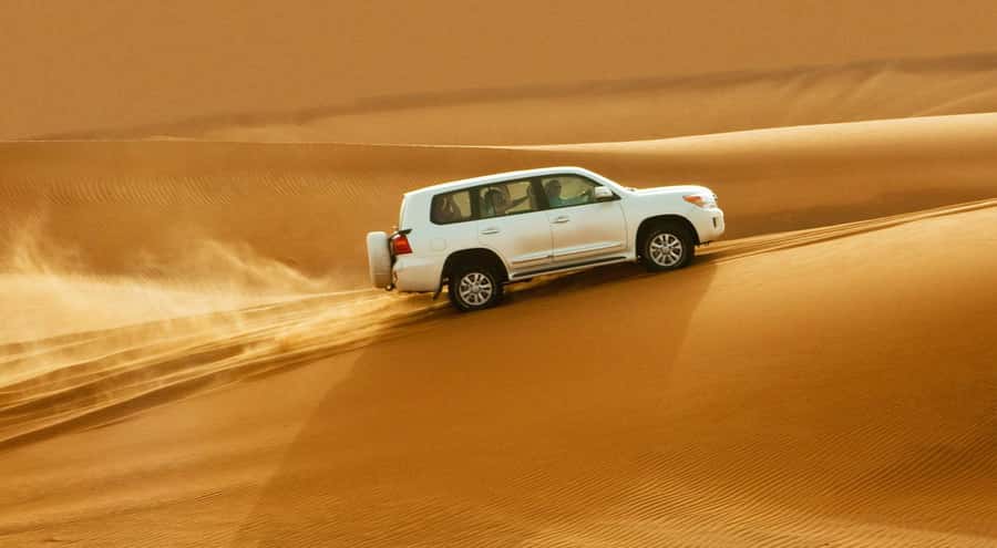 Doha: Half Day Desert Safari, Dune Bashing, Camel Ride - Who should book this desert safari
