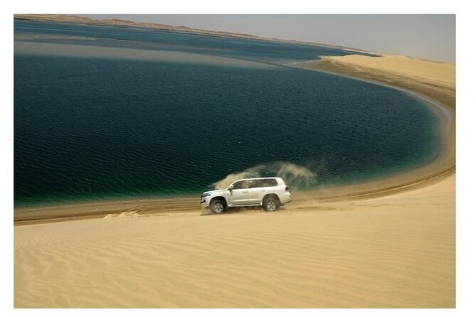 Doha Half Day Desert Safari Dune Bashing CamelRide & Sandboarding - The 30-minute camel ride