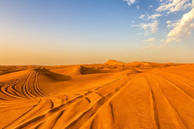 Doha Half Day Desert Safari with Camel Ride and Sand Boarding - Should you add the one-hour quad-bike option?