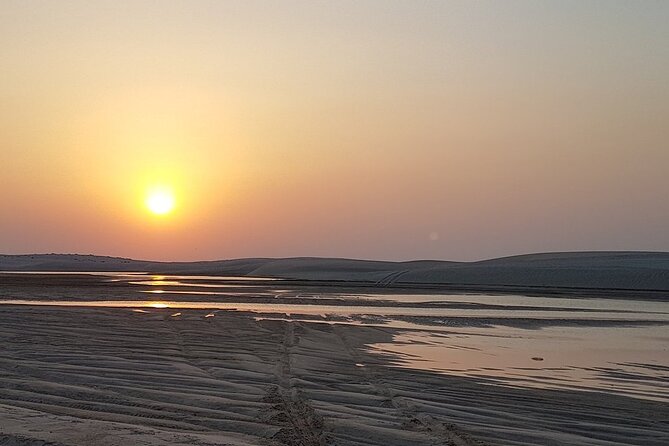 Doha : Half Day Desert Safari With SandBoarding and Camel Ride - What the $60 price really buys