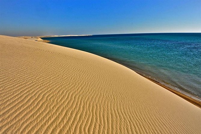 Doha : Half Day Desert Safari With SandBoarding and Camel Ride - Camel photographs at Sealine Beach