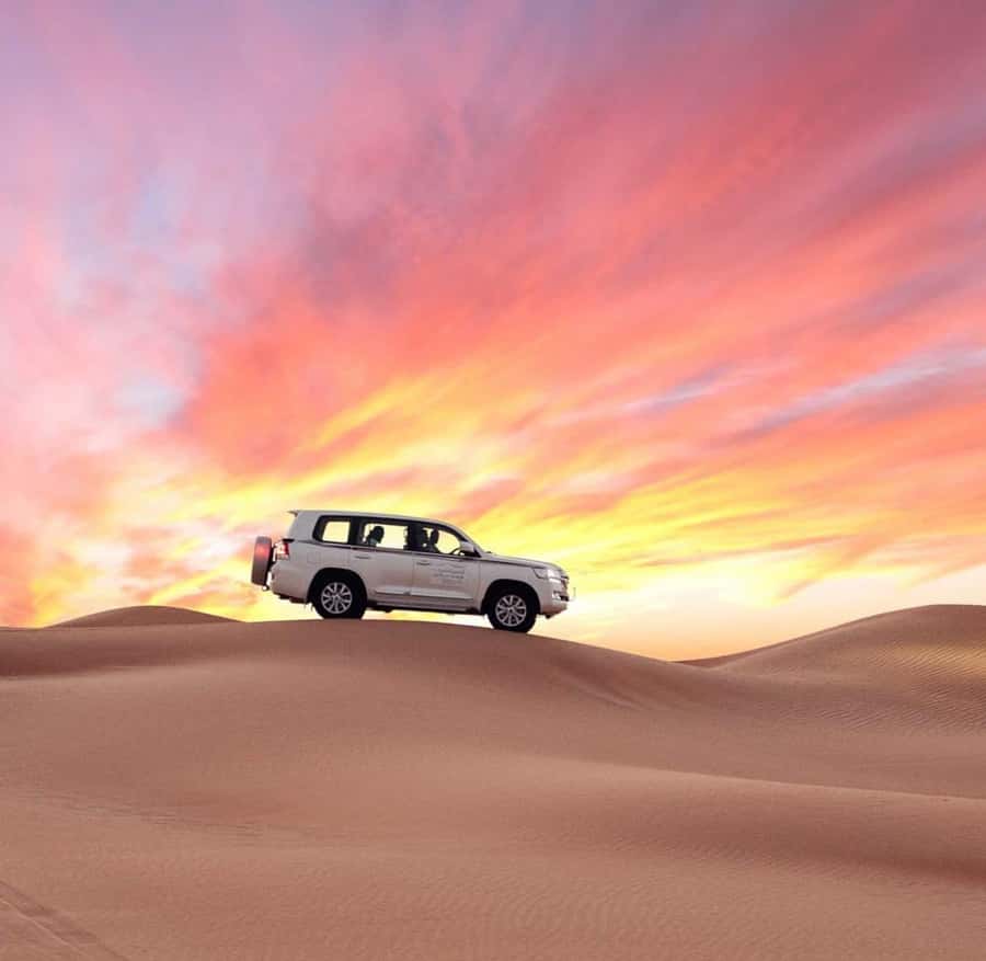 Doha: Half Day Layover Desert Safari, Camel Ride, SandBoard - Key points to know before booking