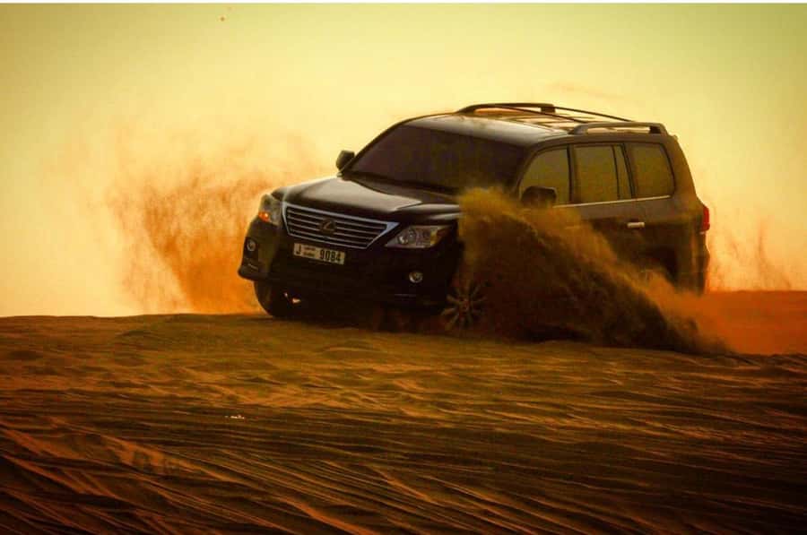 Doha: Half Day Layover Desert Safari, Camel Ride, SandBoard - Why this tour works for a Doha stopover