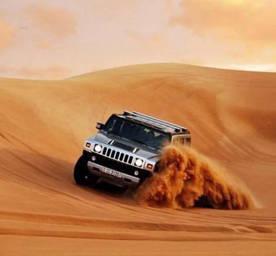 Doha: Half Day Layover Desert Safari, Camel Ride, SandBoard - What the guides add to the experience