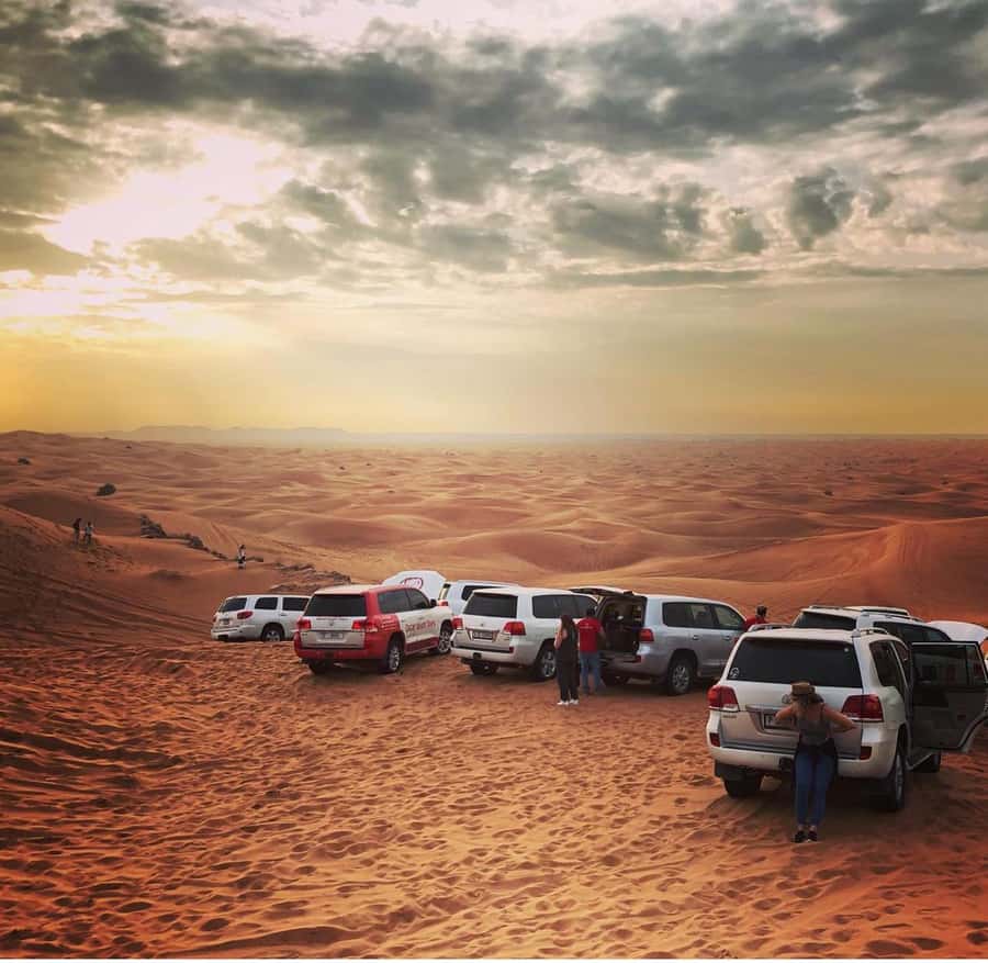 Doha: Half Day Layover Desert Safari, Camel Ride, SandBoard - Is $21 good value?