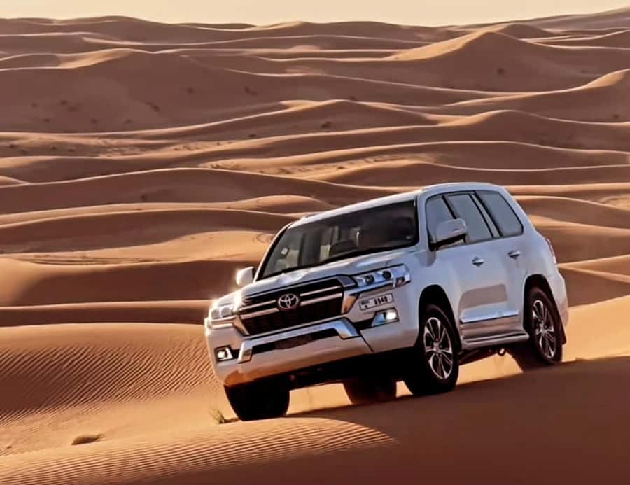 Doha: Half Day Layover Desert Safari, Camel Ride, SandBoard - Who should book it?