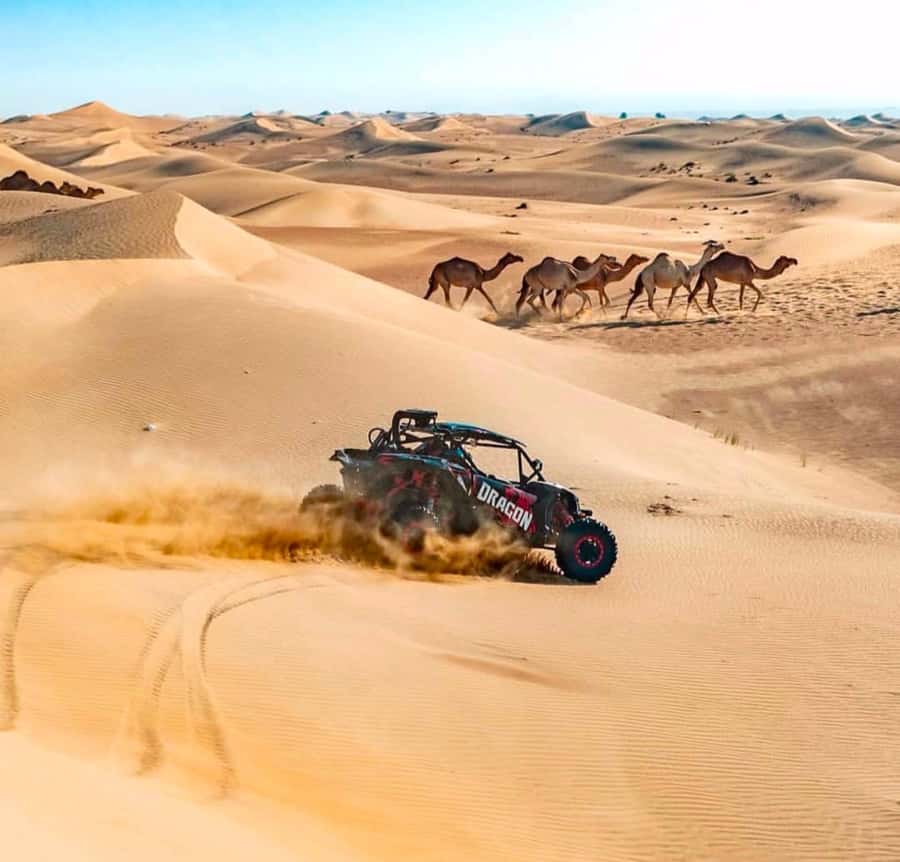 Doha: Inland Sea, Desert Safari, Camel Ride and Sandboarding - The Inland Sea and its unusual meeting of sand and water