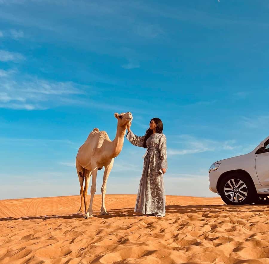 Doha: Inland Sea, Desert Safari, Camel Ride and Sandboarding - What the 270-minute schedule really feels like