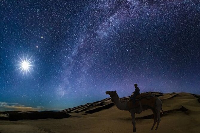 Doha Night Desert Safari Camel Ride Dune Bashing with Transfer - A four-hour night out from Doha