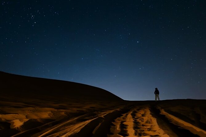 Doha Night Desert Safari Camel Ride Dune Bashing with Transfer - Who should book this desert safari?