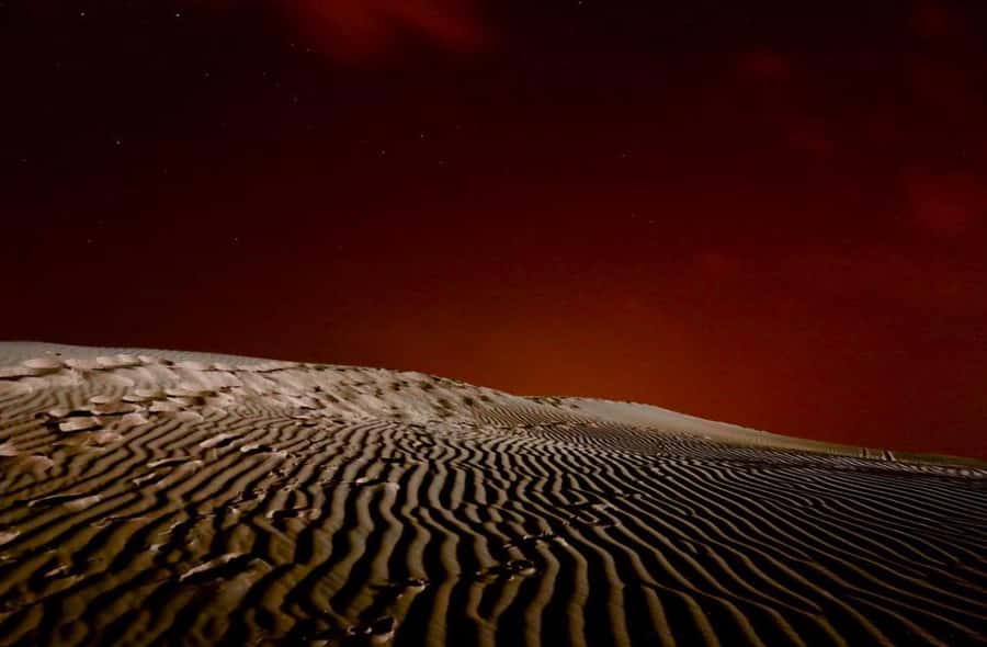 Doha Night Desert Safari Stargazing And Camel Ride - Quick take: what makes this desert outing worth considering