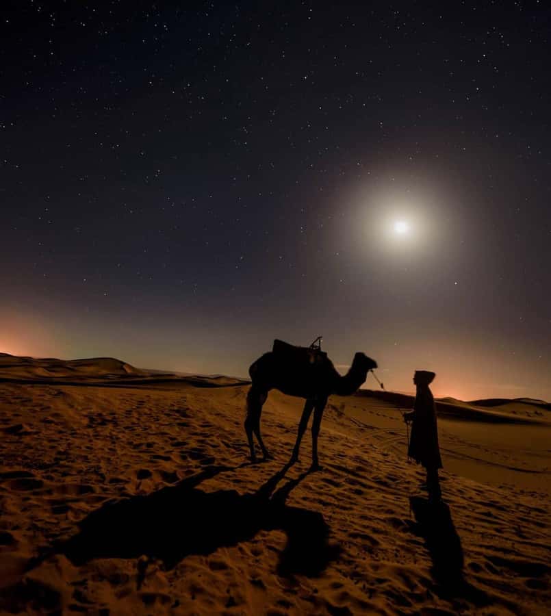 Doha Night Desert Safari Stargazing And Camel Ride - What the stargazing is really like