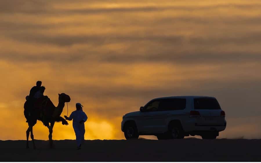 Doha Night Desert Safari Stargazing And Camel Ride - Who should book this experience?