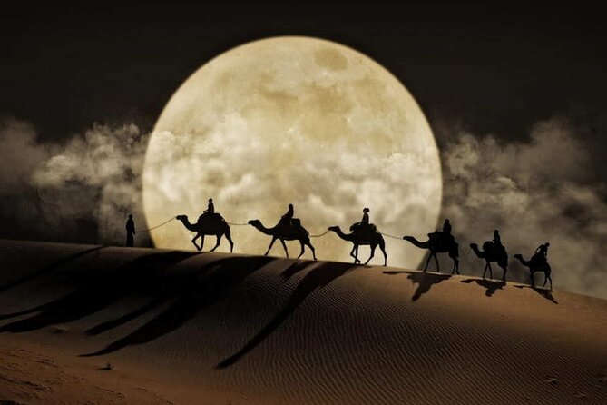 Doha Night Desert Safari Stargazing Dune Drive Camel Ride - Sealine Beach, where the desert reaches the coast