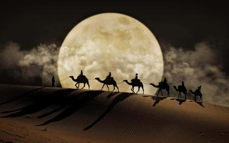 Doha: Night Desert Safari, Stargazing, Dune Driving &Inland - From Doha to Mesaieed, the desert begins gradually