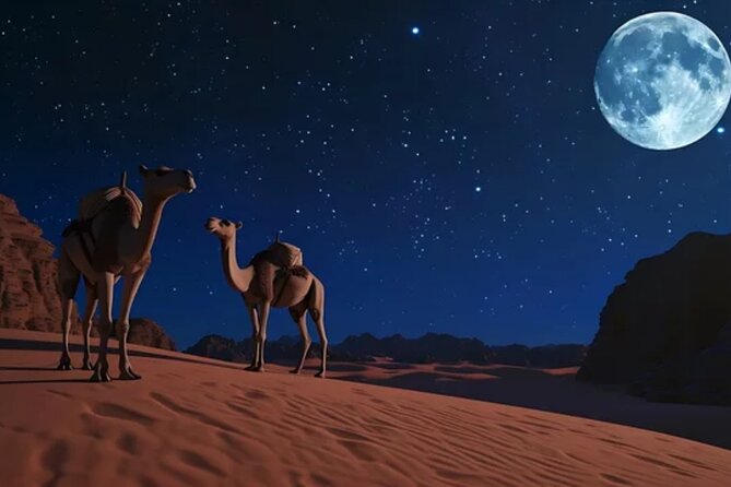 Doha Night Desert Safari, Stargazing, Photography، Relaxation - Tea, coffee, and a little time to relax