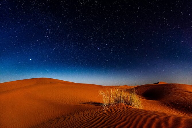 Doha Night Desert Safari, Stargazing, Photography، Relaxation - What the 77.50 dollar price delivers