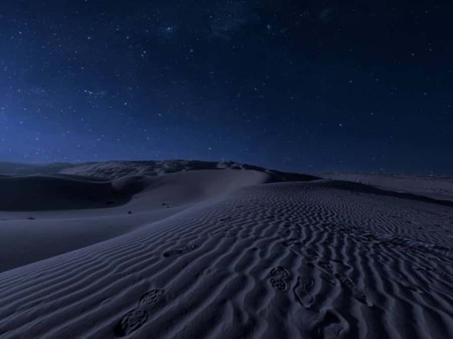 Doha: Night Desert Safari with Stargazing & Camel Ride - Quick points before you book